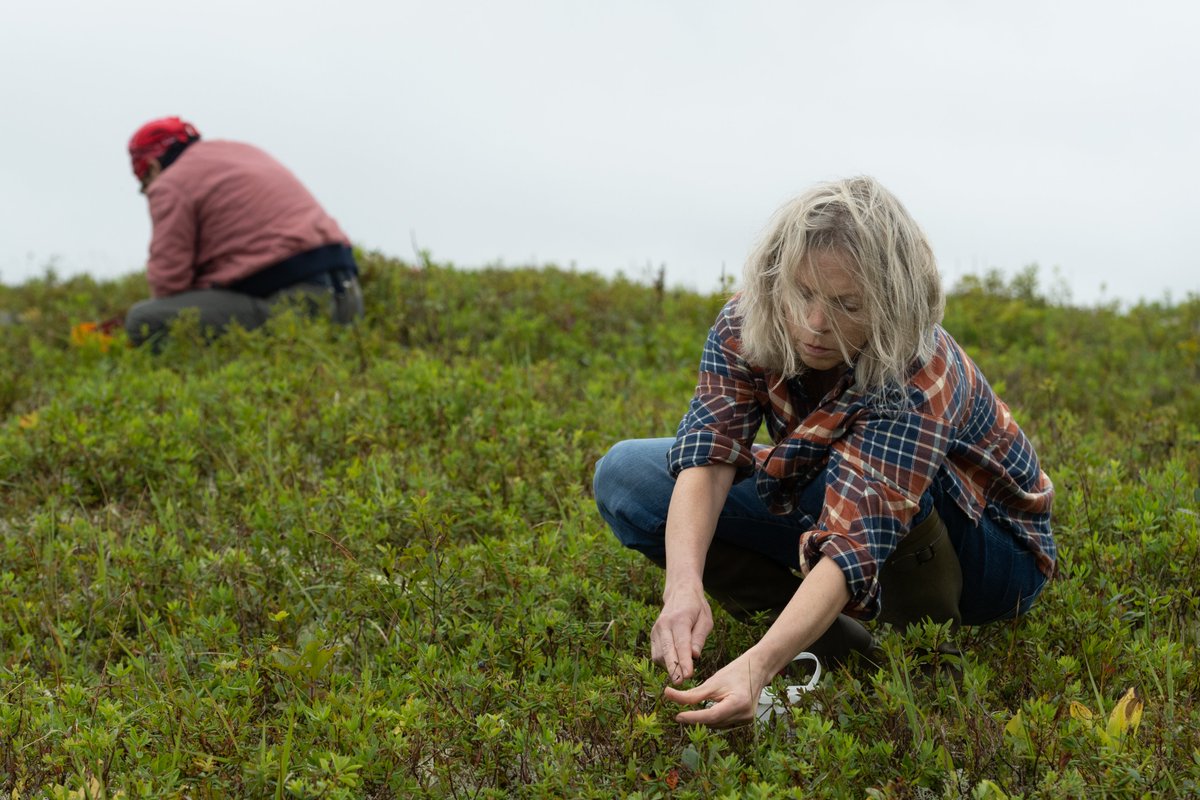 Join us for a FREE public screening of BLUEBERRY GRUNT to celebrate its win of 'Best Atlantic Director'. 🏆✨ This encore screening will take place on Wed, Sept.17 at 5:15 PM at Cineplex Cinemas Park Lane. No reservation required, open to all!
