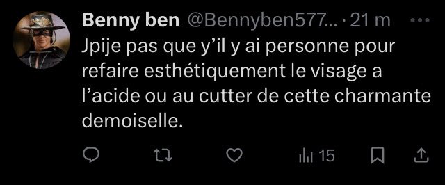 CasusLady's tweet photo. Alerte Pharos 
Ce message m’est destiné

@Interieur_Gouv @BrunoRetailleau  @NousToutesOrg https://t.co/AjFfBCR3Gv
