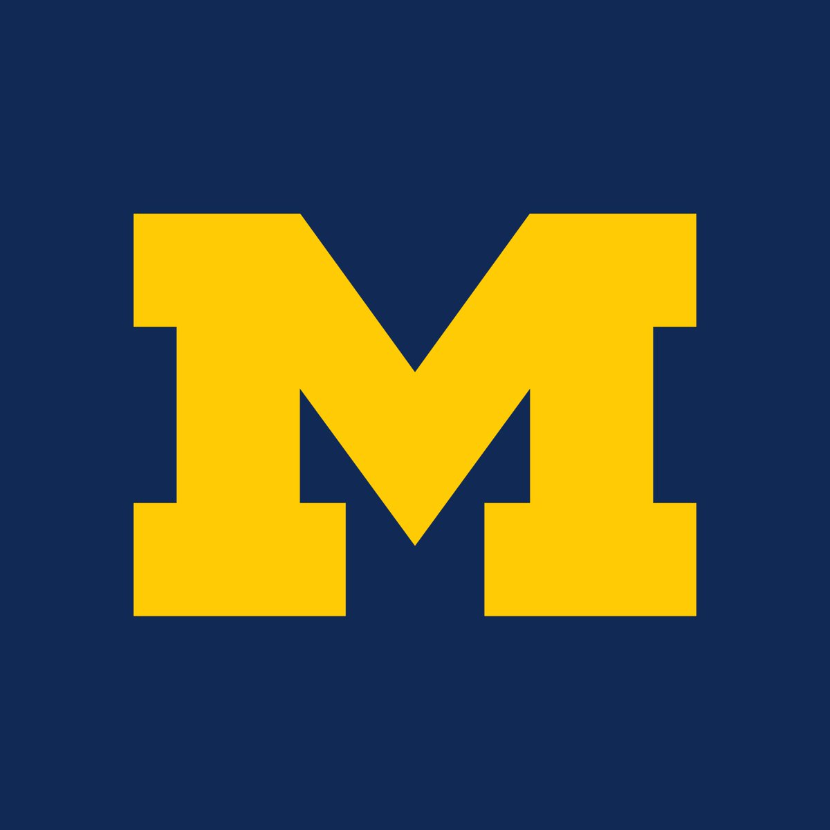 Blackshirts tweet media