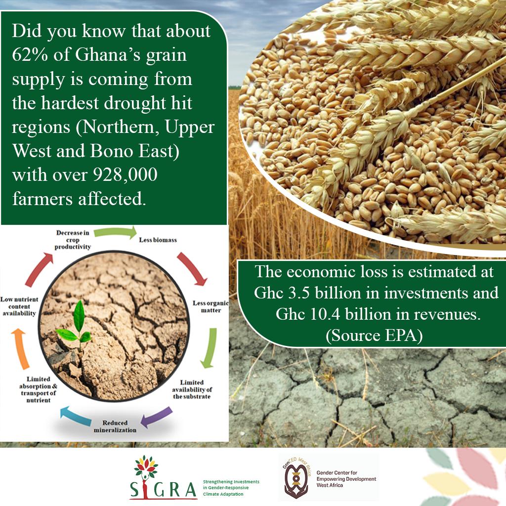 When the rains fail, so do our grains!!! #GenCED, #SIGRA, #AdaptWithHer and #GenderClimateAction #KnowTheNAP
