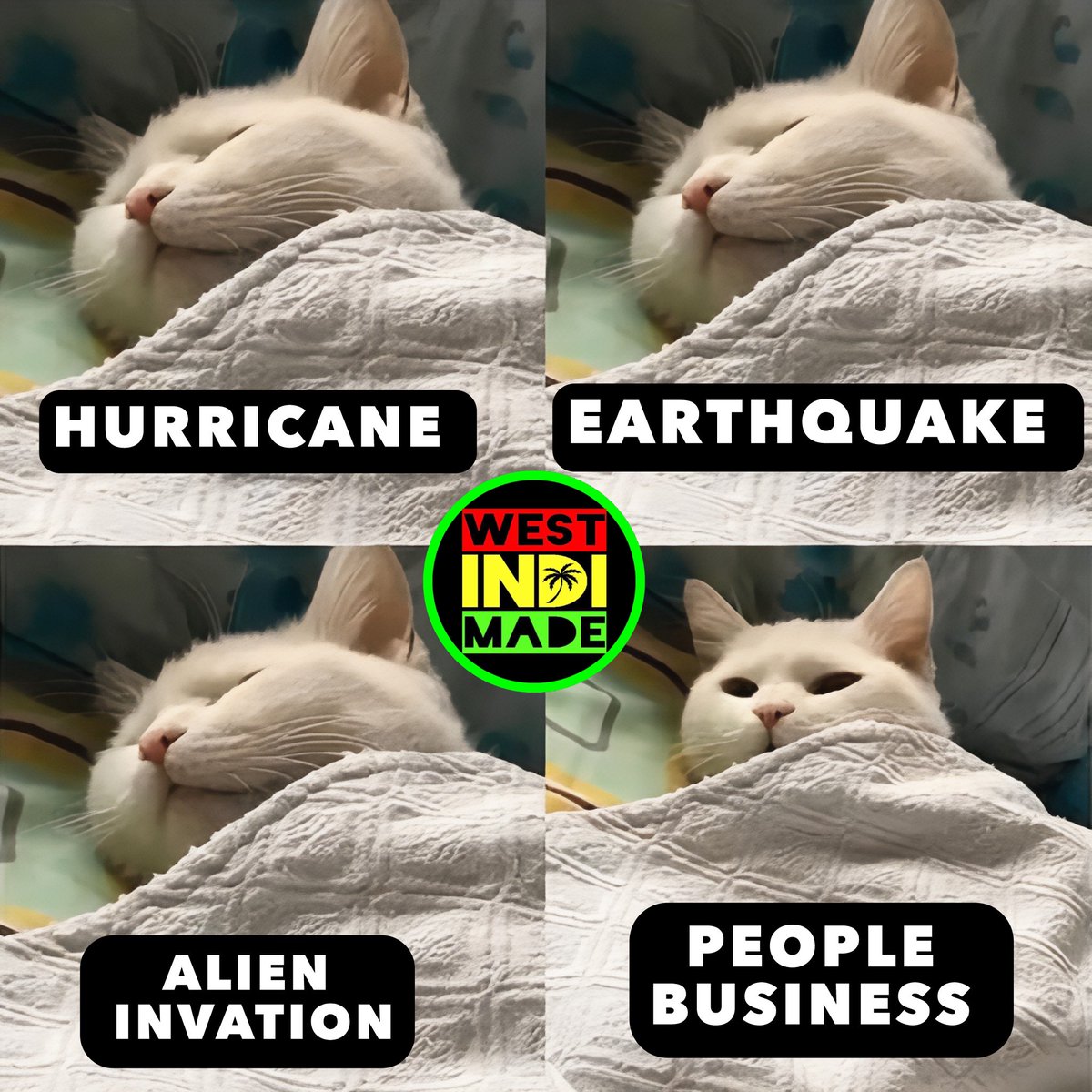 😩 Caribbean 🏝️ people be like