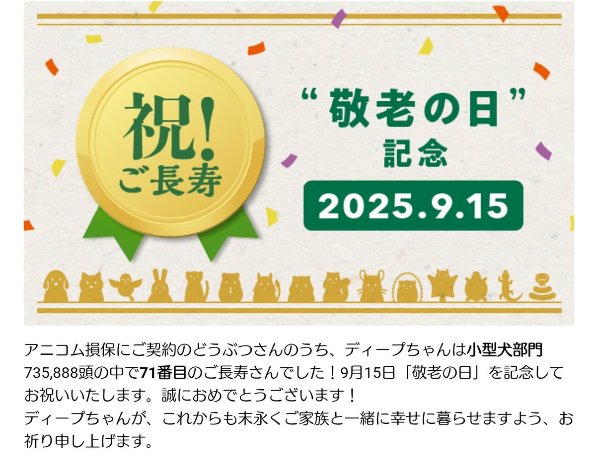 Deep_sei's tweet photo. 敬老の日 #アニコム
小型犬部門735,888頭の中で71番目のご長寿さんでした！

71番ってすごいなあ
いつも頑張ってくれてありがとう
側にいてくれてありがとう
#秘密結社老犬倶楽部 https://t.co/0IUNKlSZmx