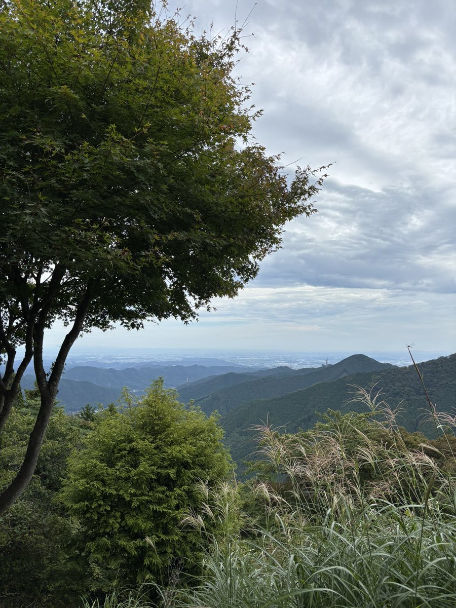 土曜日は始発で休日出勤、
日曜日は山登り、
今日はニュータンタン食べて下北沢ぶらり

目まぐるしい3日間だった、
そして予定詰め込むの好きすぎかって