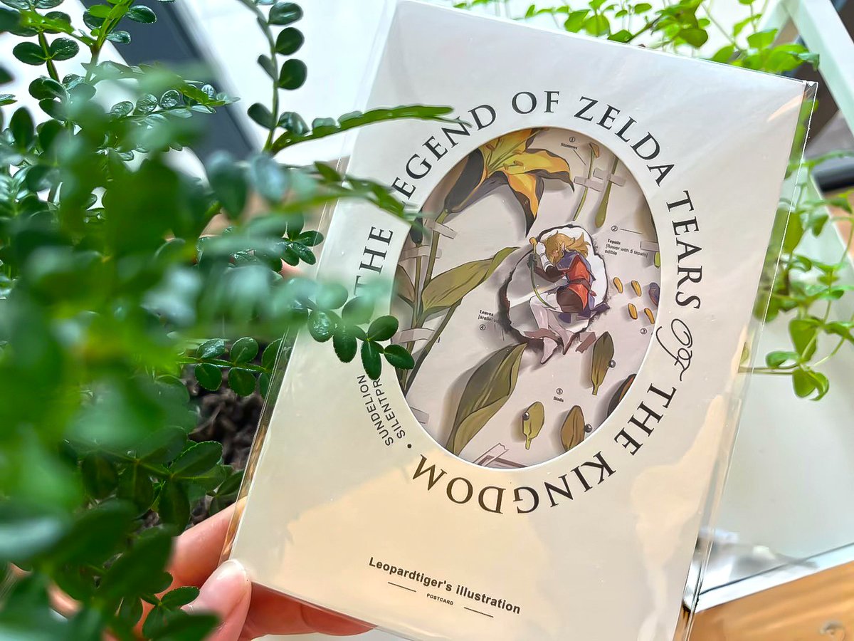 Leopardtiger|豹豹 tweet media