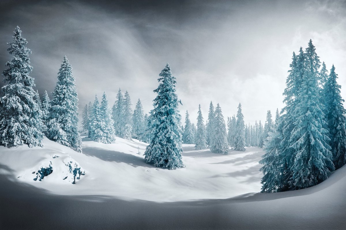 Jonas Hangartner tweet media