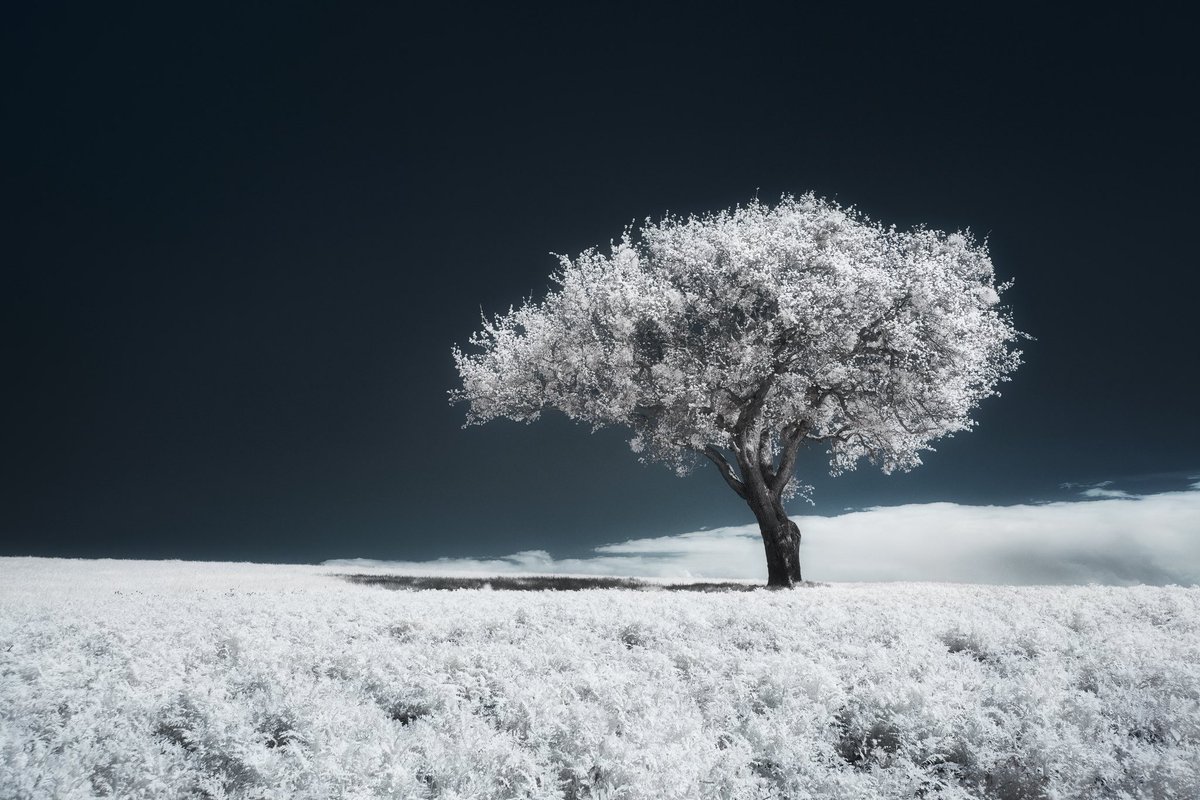 Jonas Hangartner tweet media