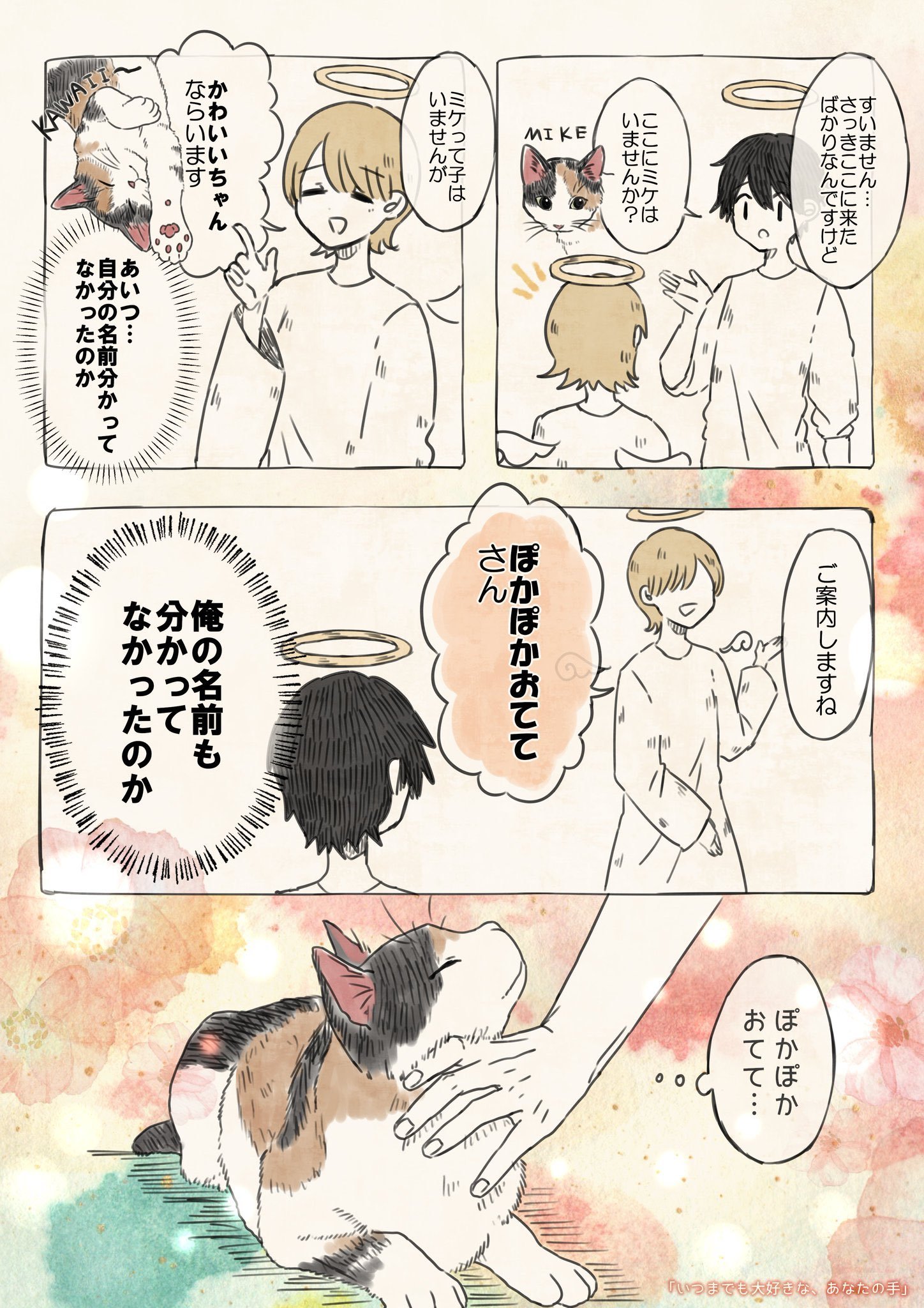 しぃちゃん☺︎ しいちゃん (@si_chaaaaan) / X