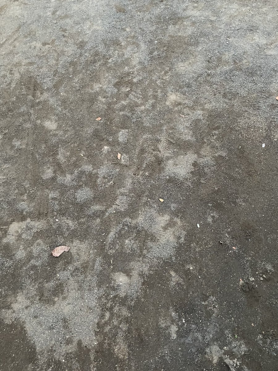 からの今日の最後！
勝利を信じて待つ！