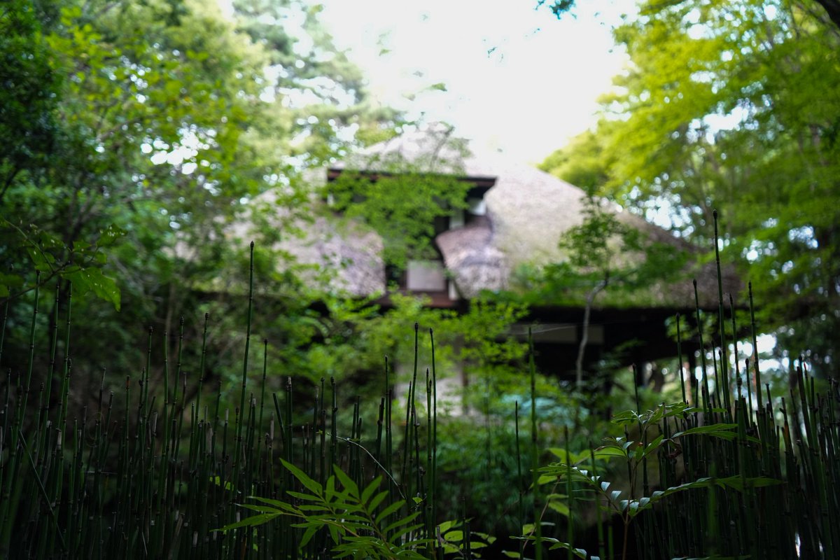 moritaroukikaku's tweet photo. 9/12(金)、今月も天山文庫の手水鉢に花を飾らせていただきました💐
3～5日ほど色鮮やかな花をご覧いただけます✨
残暑の日々が続いておりますが、夕涼みにぜひ天山文庫へ🐸
#東北 #福島県 #川内村 #かわうち #浜通り #双葉郡 #相双 #R399 #あぶロマ #残暑 #天山文庫 #9月 #初秋 https://t.co/iGGwTo1Z7W