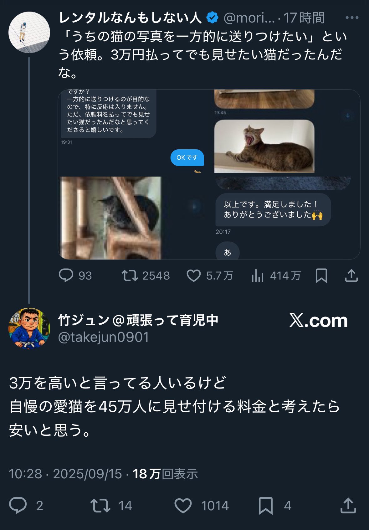 レンタルなんもしない人 on X: 