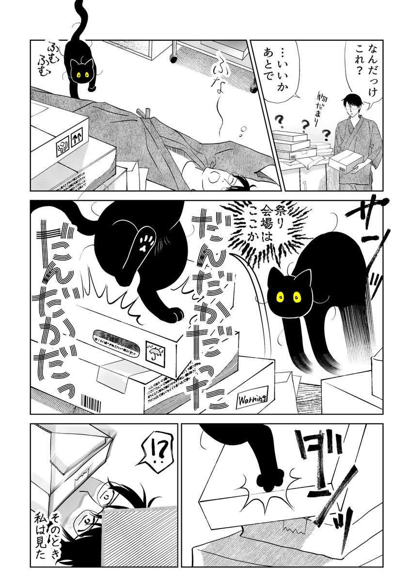 雨の日のねこ様♡ありがとうございます♡ neko123 それゆけ ? ネコ探訪編集のほう😺（※X基本金土日お休み