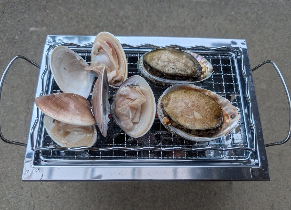 ヒトリ貝網焼き🐚
ハマグリうまうま( ｀◔‿ゝ◔´)