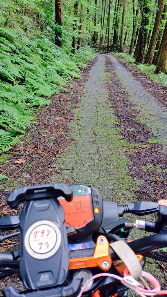 TEAMtoumou's tweet image. 妙義山→県道192号線→県道46号
標高1000m超えて雨雲の中を走る感じ🫠
評判どうりの酷道でした🫠

#バイク単独バイク #ツーリング仲間募集 ＃KTM #250duke #グンマー ＃サイタマー