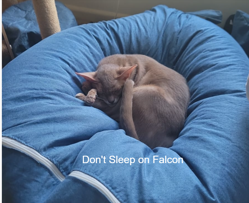 .<a href="/FalconStable/">Falcon Finance 🦅🟠 at Token2049🇸🇬</a> 獲 DWF 支持，7個月突破 $1.5B 流通、$270M TVL，現正式開啟 $FF 社群認購
以低估值 $3.5B FDV 入場機會👇
🤠前置條件:
1. 先去
app.falcon.finance/?r=cb07774715b…
2. 用任意資產 (USDC/ USDT/ Alts) swap 成 $USDF
3. Stake 3/6 個月, 獲9.78% - 11% APY, 得到 $sUSDf
4. 再Stake  $sUSDf