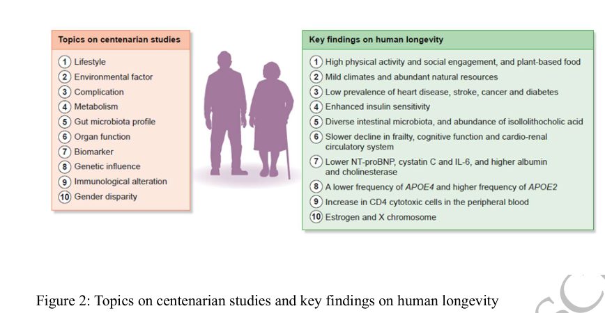 CKJsocial's tweet photo. Healthy aging and aging-related kidney diseases: 

lessons from centenarians

🔓https://t.co/vCc6fYhc2E https://t.co/KTlptI323K