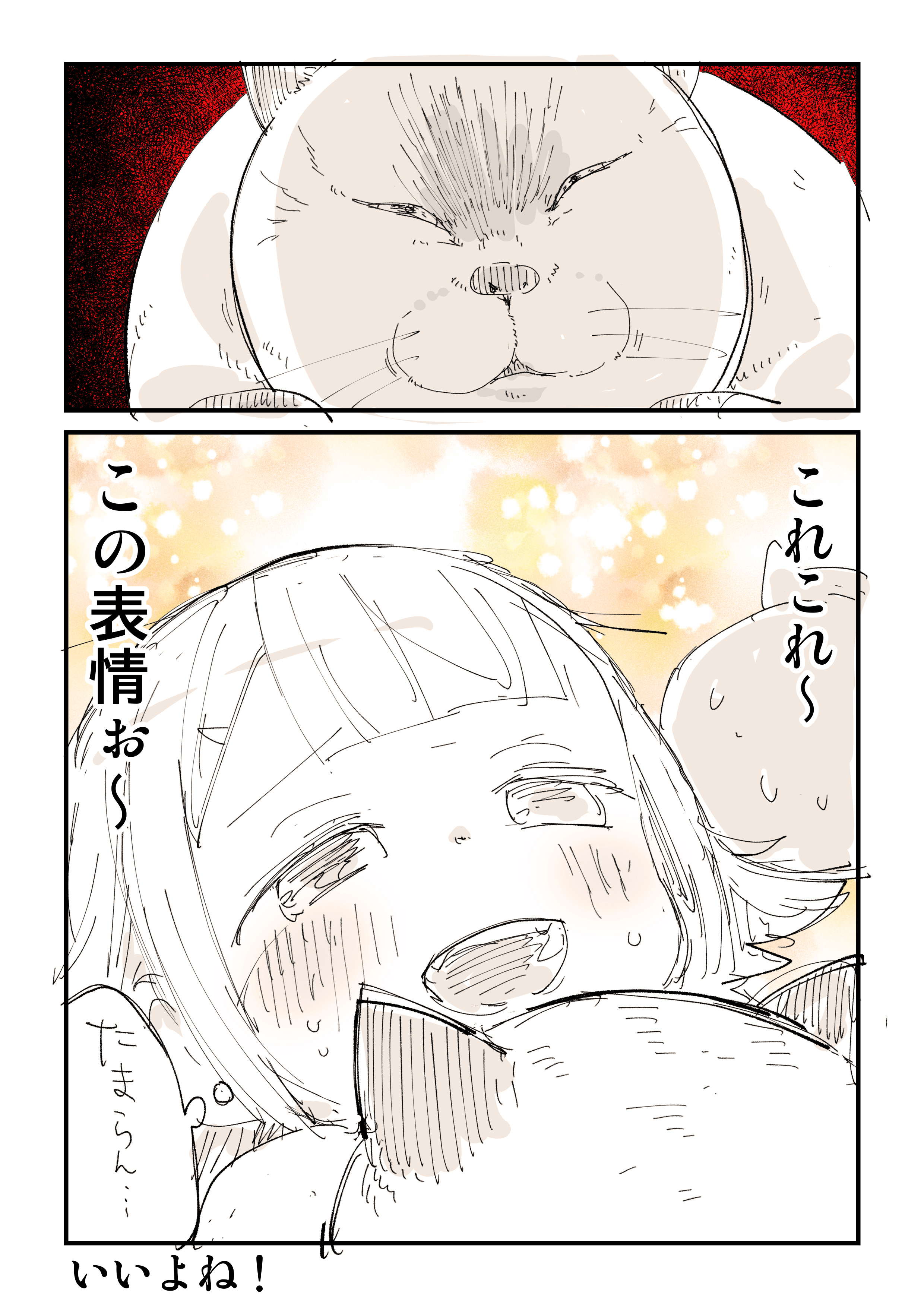 Posts with replies by ぬこー様ちゃん@ロードバイク狂