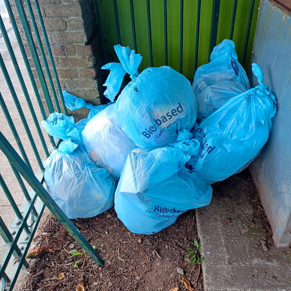 💪 Dream team in action Saturday – bags &amp; bags of rubbish collected! 🗑️🐾 Dog bins were overflowing, big shoutout to our very own Poop Fairy Niamh 🧚‍♀️ for emptying them every week! 💚 #LoveYourHane #TidyTowns