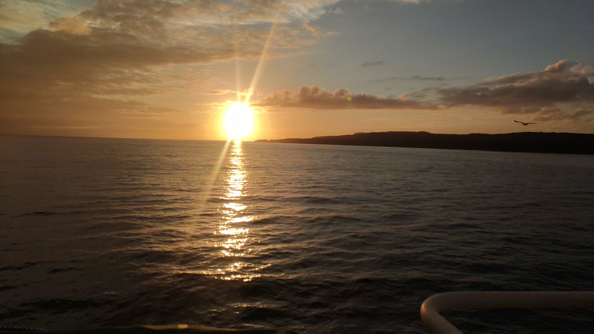 暁 せん (@curry_to000) on Twitter photo 