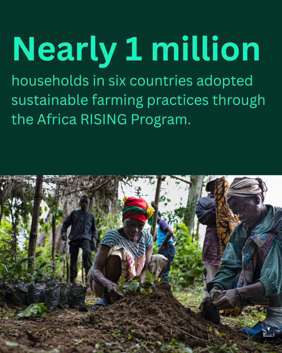 🌍 Locally tailored solutions are transforming African farming through Africa RISING, where farmers adopt intercropping, crop rotation &amp; reduced pesticide use — boosting yields, improving nutrition &amp; building resilient #foodsystems.

🔗 on.cgiar.org/40xSqlh

#WithScienceWeCan