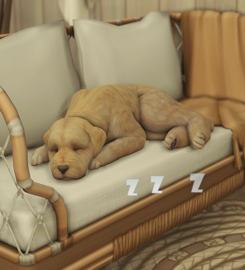 aww.. 💓

#TheSims4