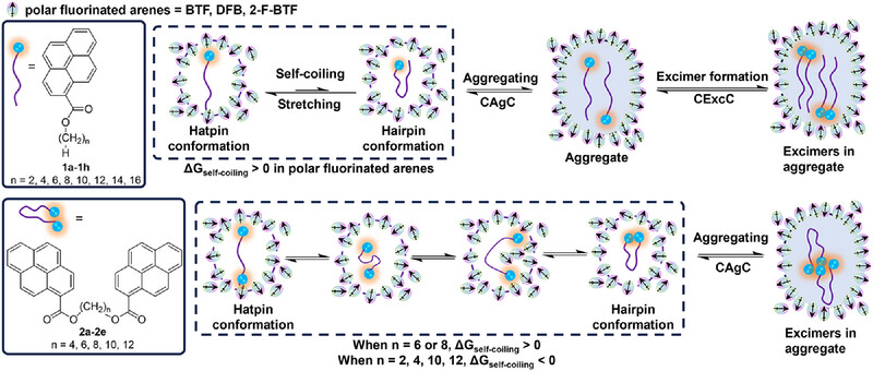 AggregateOA's tweet image. &quot;Self-#Coiling and #Aggregation Behaviors of Organic #Fluorescent #Probes With Saturated #Aliphatic Chains in Polar Fluorinated #Arenes&quot; by Tianfei Liu @TianfeiLiu et al. at Nankai University @Wiley_Chemistry #Excimer
Check👉doi.org/10.1002/agt2.7…