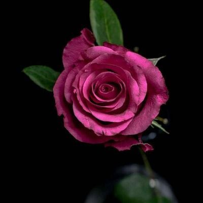 "أحببتُك مُرغمًا، ليس لأنك الأجمل بل لأنك الأعمقْ؛ فعاشقُ الجمالِ في العادةِ أحمق."💛

#بنت_راشد
#مساء_الخير 
#مساء_الــود_والـــورد