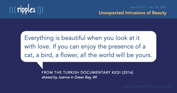 Beauty doesn’t always announce itself. Sometimes it just barges in. #HereNow   [Be sure to catch the rest of Ripples #1373: mailchi.mp/unleashripples… ]