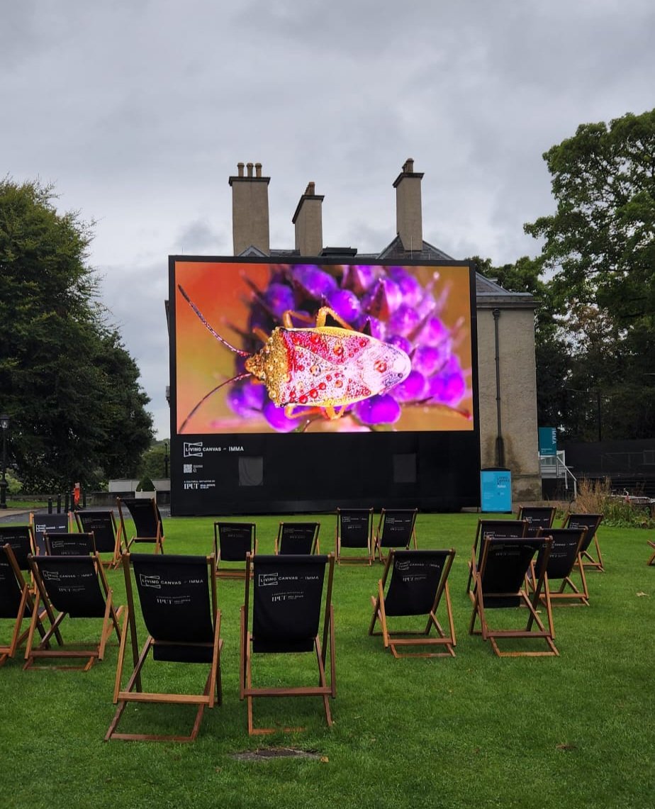 TinaClaffeyPhoto tweet media