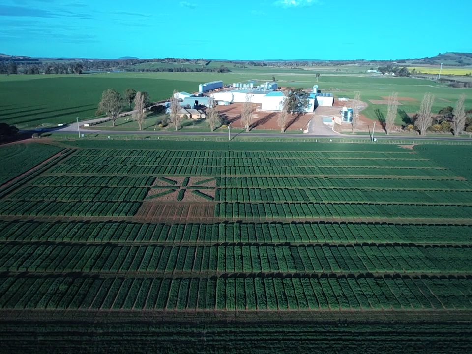 Brendan Torpy tweet media