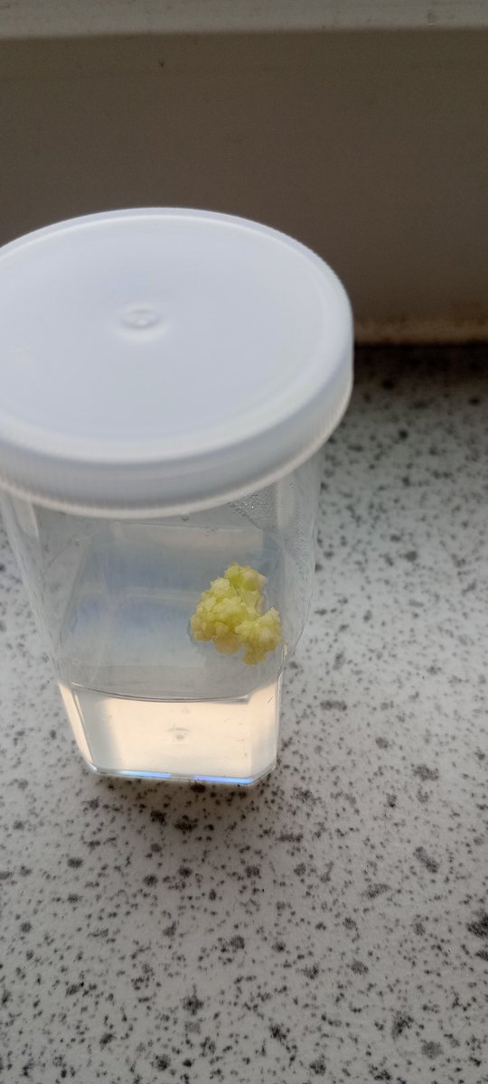 National Centre for Biotechnology Education tweet media