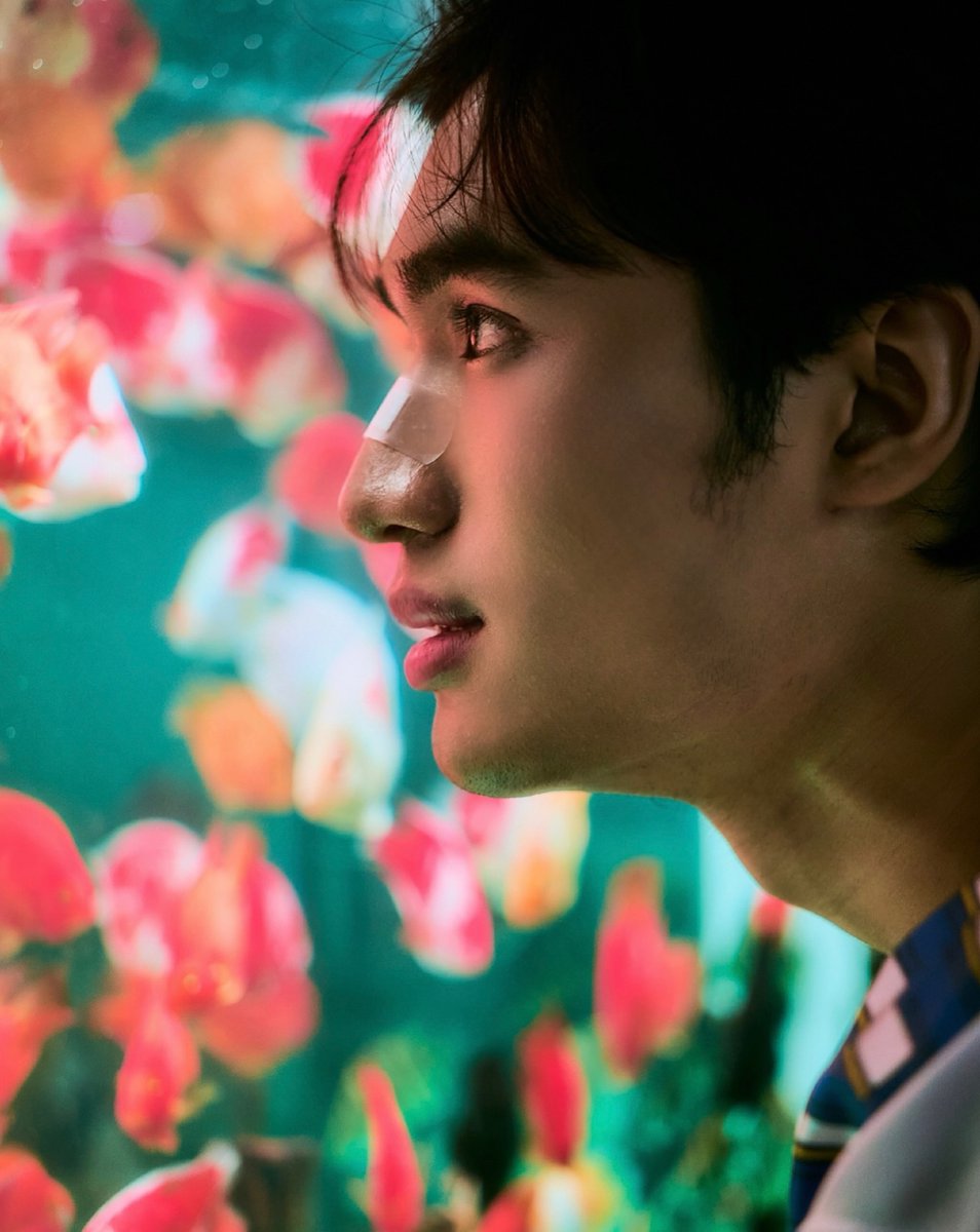 BarbellBrazil's tweet photo. [📸 • 15.09.2025] 
↳ Insta feed: barbell_jirakit 

"Peixe-dourado 🐠"

#barbelljirakit @BarbellJirakit https://t.co/hfTRoXjPRH