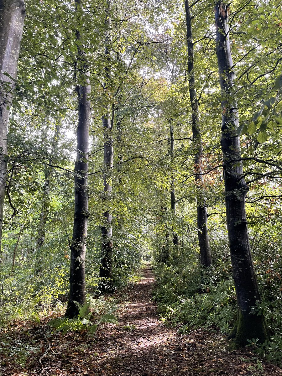 Stopped to appreciate this view on my dog walk.