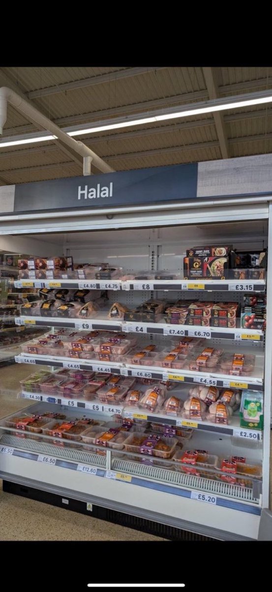 benonwine's tweet image. Do you think Halal should be banned because of its cruelty to animals?

YES OR NO?