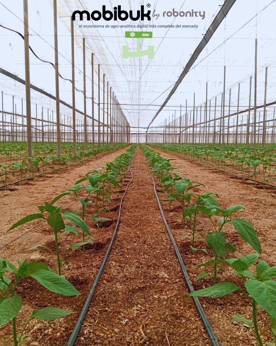 🌱 ¡Ya asoman los primeros brotes de la temporada! Nuestros clientes están listos para transformar datos en decisiones 📊💡
Si aún no lo eres, este es el momento perfecto para dar el salto y cultivar tu éxito con #Mobibuk.
📞 Llámanos: 722 863 992 · 623 307 280

#agritech