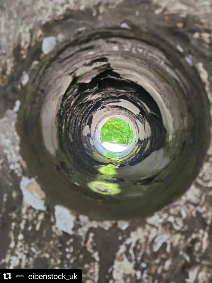 EIBENSTOCK_PT's tweet image. Power. Precision. Performance. ⚡
The DBE 352 diamond drilling unit handles core drilling up to Ø 352 mm with ease.

#coredrilling #coredrill #kernbohrung #heizungsbau #lüftungsbau #betonbohren