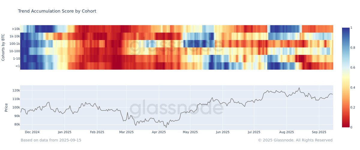 Since our Aug 25 post, distribution has softened but not reversed. Most $BTC cohorts remain below the 0.5 threshold, indicating sell-side pressure persists. No group is showing strong accumulation (>0.8). The market remains in a broadly neutral-to-distribution regime.