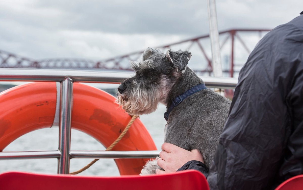 Maid of the Forth tweet media