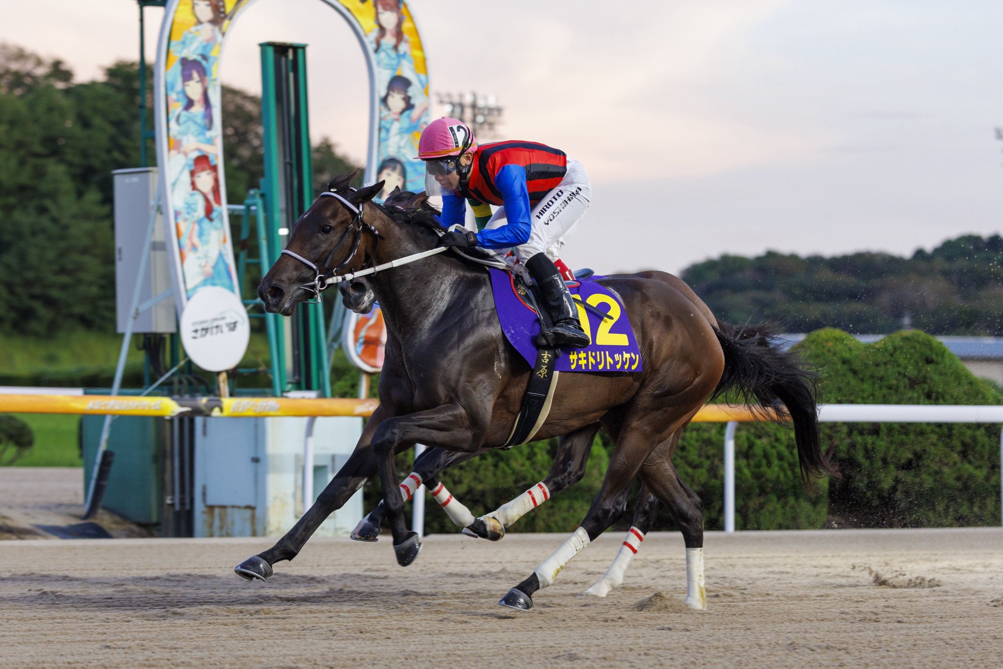 さがけいば（佐賀競馬場） on X: 