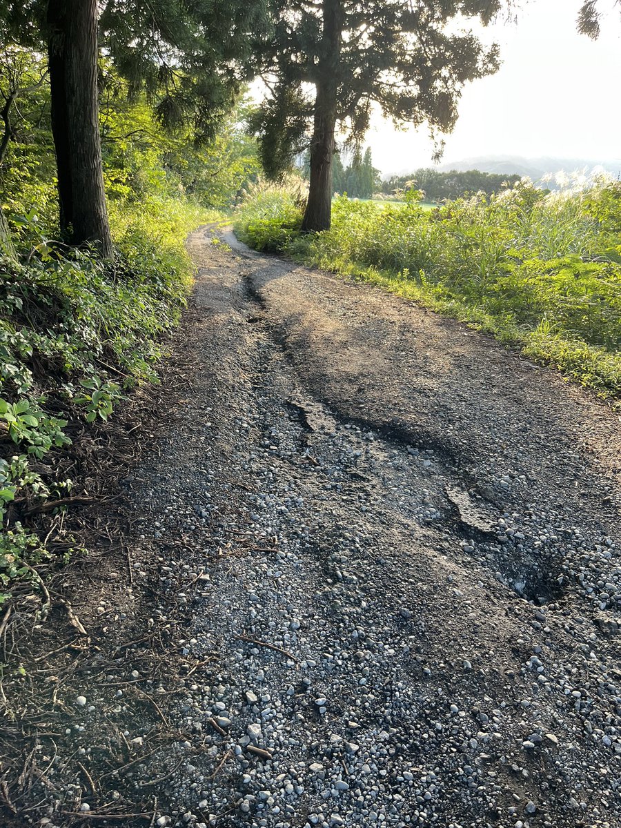 ZERO_EXZARD's tweet photo. 今日は久しぶりに地元の山を登ってきました〜
運動不足で結構足がキツかったぁ〜
帰りはオンオフ半々の下りで楽しいけどちょっと凸凹すぎてハンドル取られて転けそうになります〜
久しぶりなので速度は落として〜
前のジャックナイフして顔から転けた時みたいにならないように気をつけないと😱 https://t.co/JyexoEpkfO
