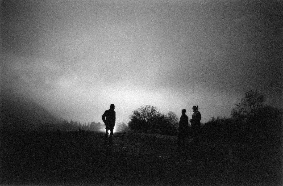 Chechen Visuals tweet media