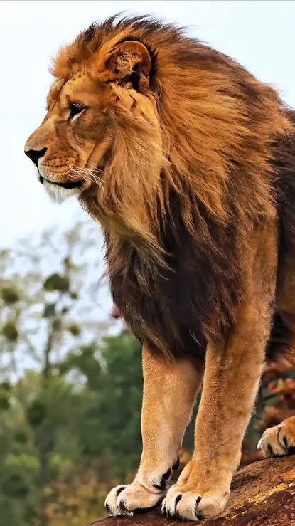 Mohamad Fawaz tweet media