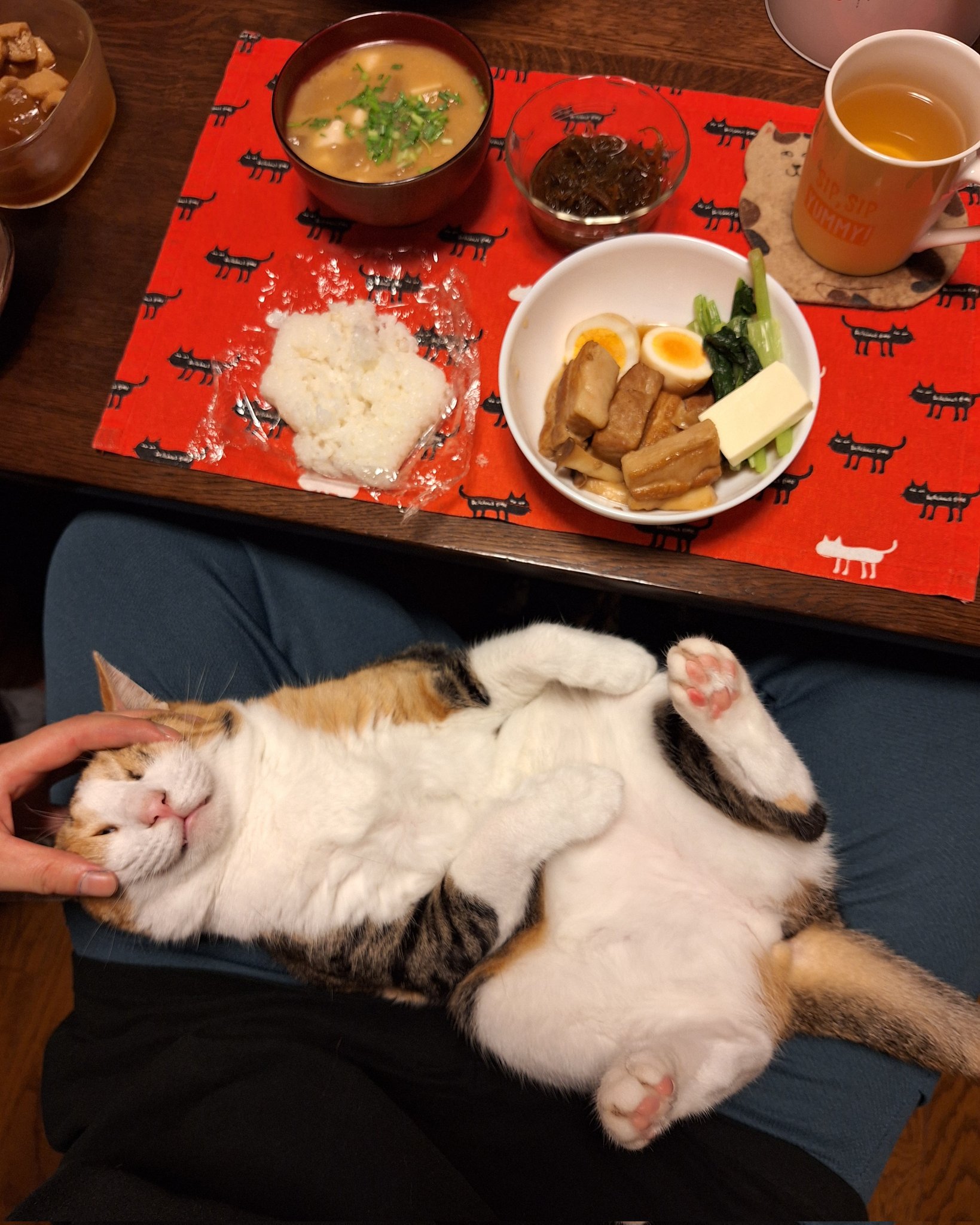 おつゆ✨ Cloud Play for Kids | Black | On United States