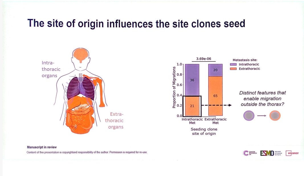 RobertoFerrara_'s tweet photo. Deeply diving into 'seed and soil' model with @SonyaHessey.
- 'Source' mets (met to met) occur early in NSCLC. 
-Extrathorax mets derive mainly from extrathoracic seeding clones
-Intrathoracic clones with extrathorax seeding capacity have higher chromosomal instability #ESMOMAP https://t.co/gpvXa88Ggn
