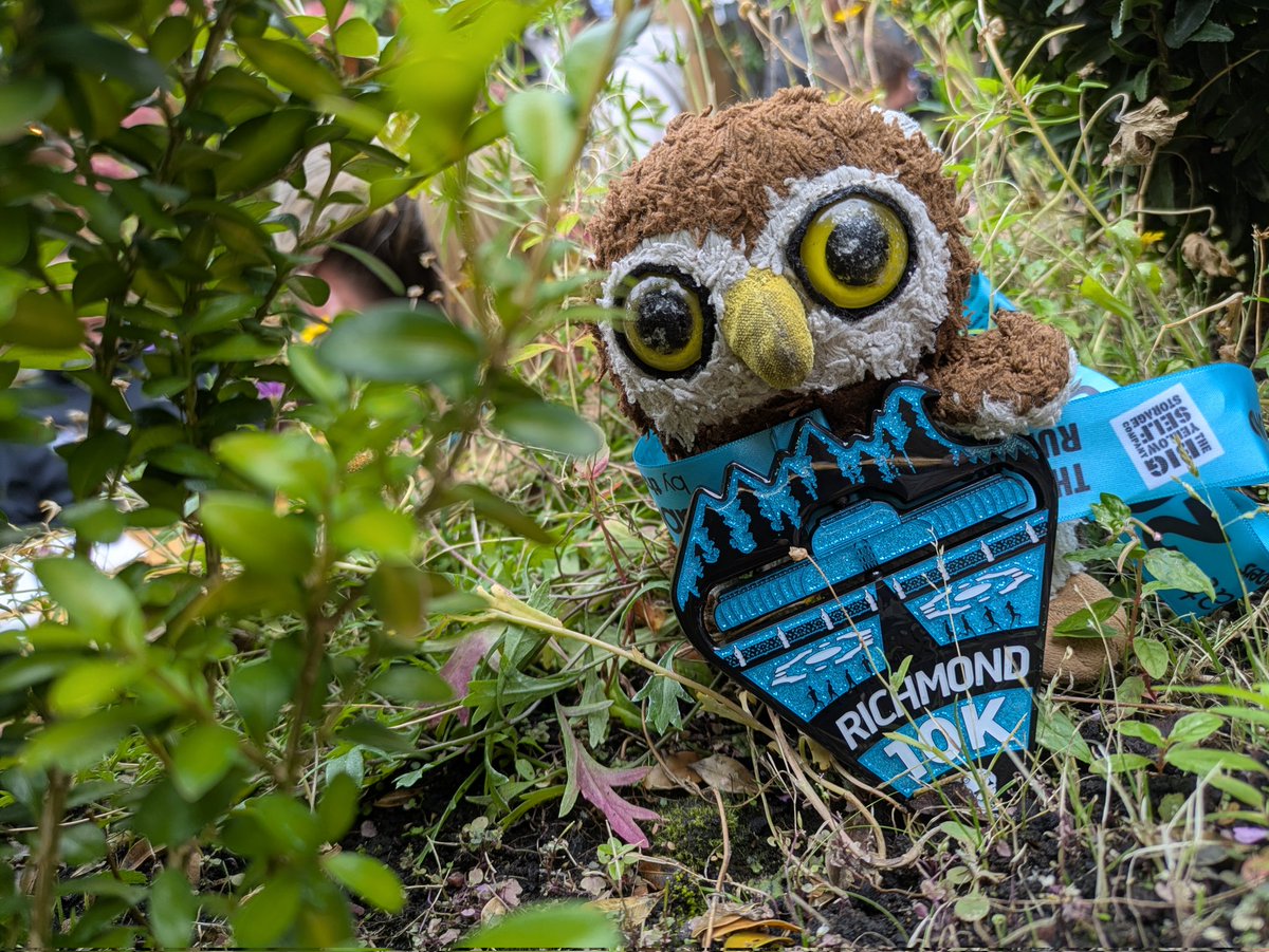 Good to be back in race mode!  <a href="/RichmondRunFest/">Richmond RUN-FEST</a> 🏃🏅 #zoom #fastestowl