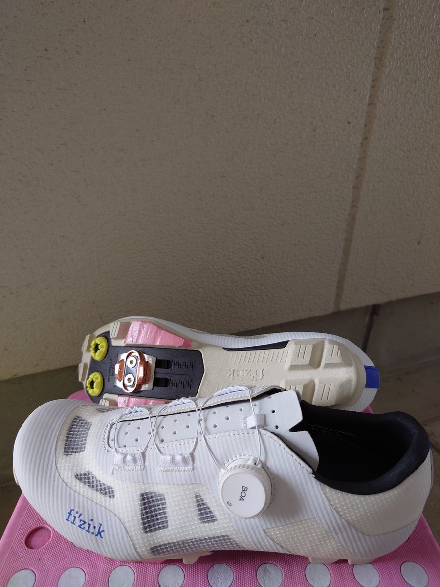 とし郎 71nxP1l+C5L._UF350,350_QL50_.jpg