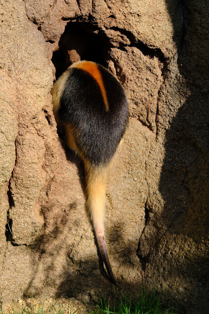 ひじき - Search / X