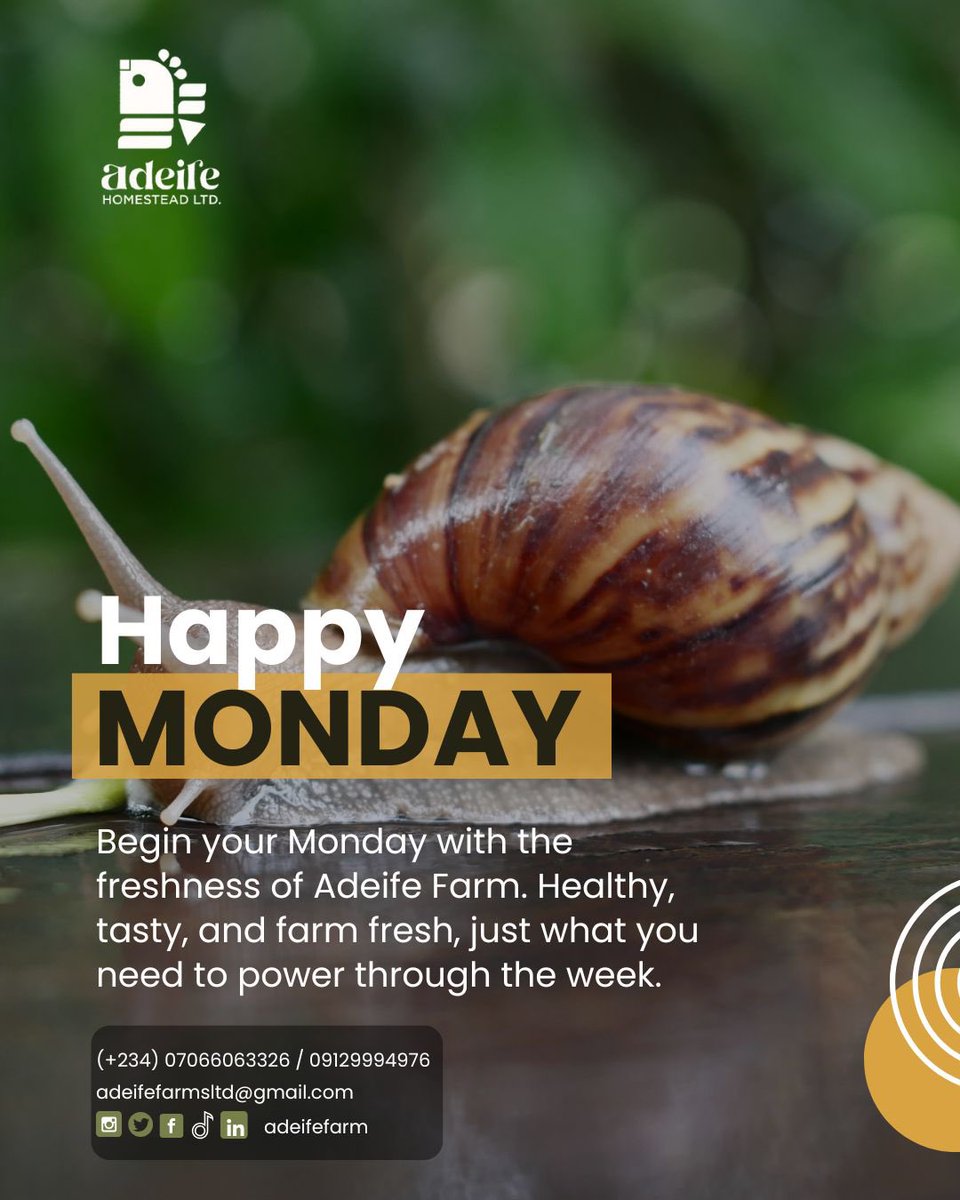 adeifefarm's tweet photo. Happy Monday 🌿 Start your week with the goodness of Adeife Farm. Fresh, healthy, and tasty snails to keep you energized and ready to conquer the days ahead. 💪🐌✨

#HappyMonday #AdeifeFarm #FarmFresh #HealthyLiving #FreshFromTheFarm #SnailFarming #FarmToTable #EatClean https://t.co/v4EQ29yEUw