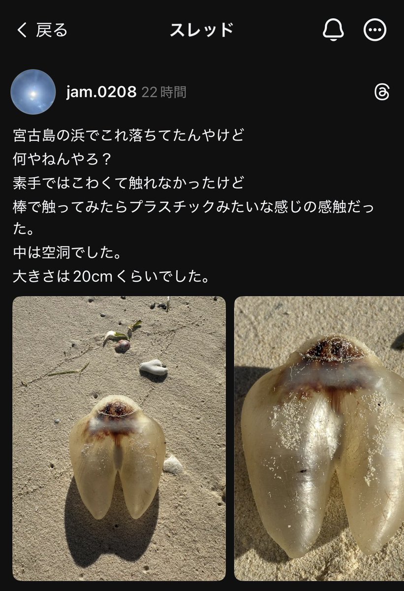 wagyuteacher's tweet photo. 透明な牛の蹄にしか見えない https://t.co/yxxmrESNm3