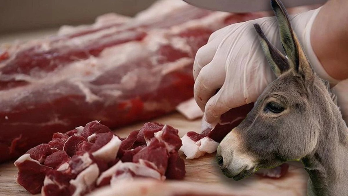 TÜİK: "Adana’da 689 eşek kaldı."