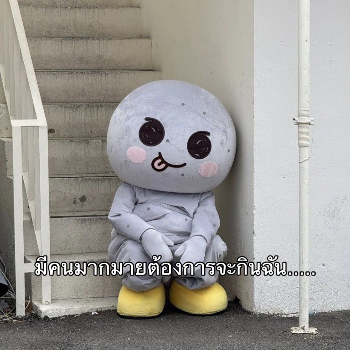 mklt (@happibbu) on Twitter photo 